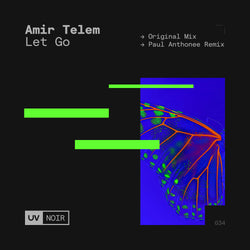 Amir Telem - Let Go (Original / Paul Anthonee Remix)
