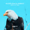Roger Shah & Ambedo - Birds Of Prey