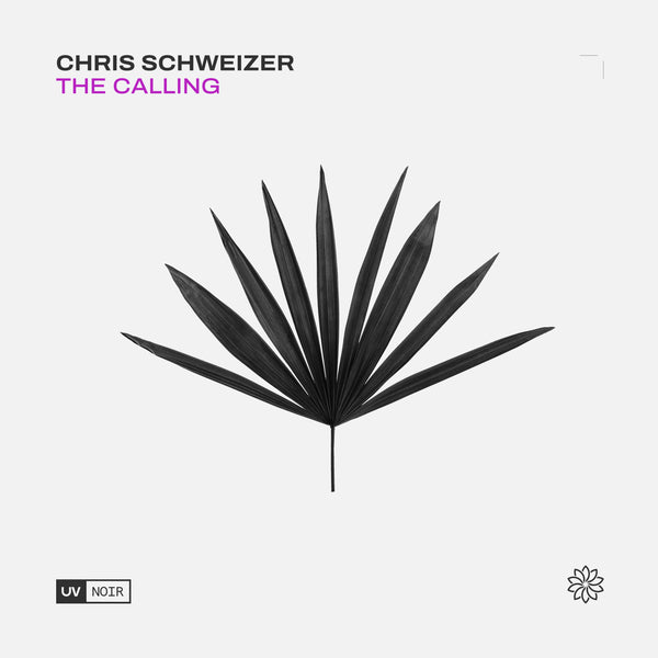 Chris Schweizer - The Calling
