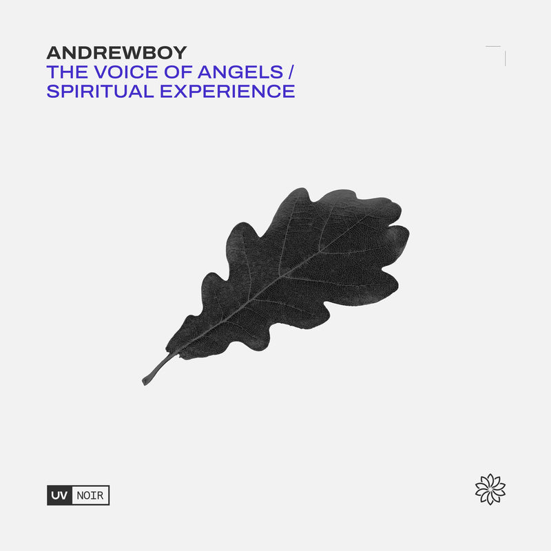 Andrewboy - The Voice of Angels (Including Nihil Young Remix) / Spiritual Experience (Including Cary Crank Remix)