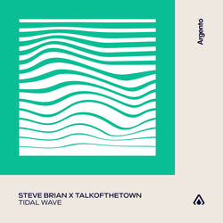Steve Brian X Talkofthetown - Tidal Wave