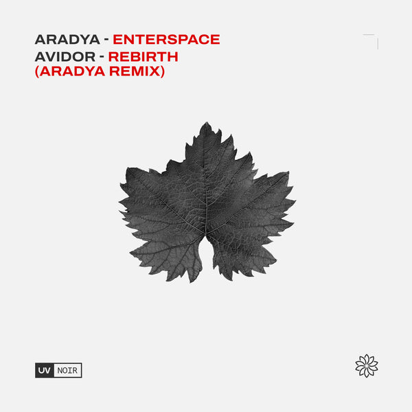 Aradya - Enterspace / Avidor - Rebirth (Aradya Remix)