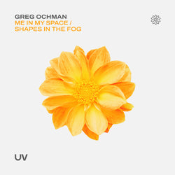 Greg Ochman - Me In My Space & Shapes In The Fog