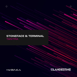 Stoneface & Terminal - Tantra