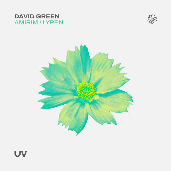 David Green - Amirim / Lypen