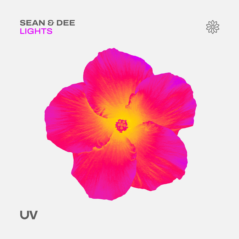 Sean & Dee - Lights